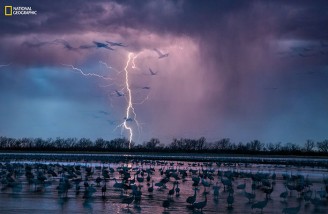 ۵۲ تصویر برتر به انتخاب نشنال جئوگرافی (بخش اول)