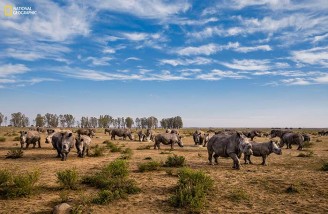۵۲ تصویر برتر به انتخاب نشنال جئوگرافی (بخش دوم)