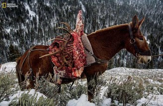 ۵۲ تصویر برتر به انتخاب نشنال جئوگرافی (بخش آخر)