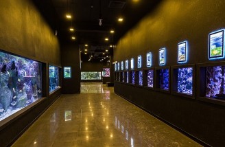 نخستین تونل آکواریوم شهری ایران| اصفهان