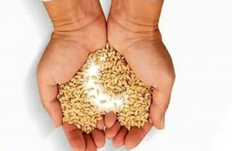 میزان فطریه رمضان ۱۴۴۵ اعلام شد