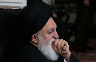 علوی بروجردی: با حمله به ایران کتاب ها را سوزاندند