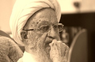 مکارم: شرکت روحانی در برخی مجالس مومنان را ناراحت می کند