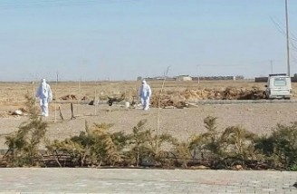 آمار جان باختگان کرونا به ۱۴۴ هزار و ۳۸۲ نفر رسید