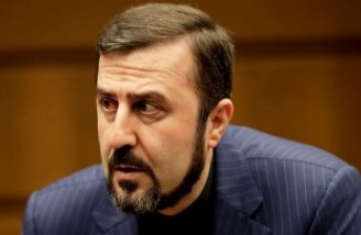دشمنان اصلی حقوق بشر پرچم دفاع از آن را بلند کرده اند