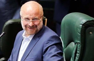 قالیباف: نمی‌خواهیم چوب لای چرخ دولت بگذاریم