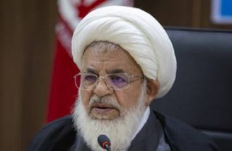 کم شدن جمعیت شیعه به معنای کم شدن سربازان امام زمان است