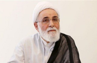 مشکل نوع اجرای دموکراسی است| قاعده بازی را هم بلد نیستیم