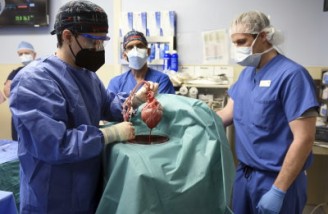 نخستین پیوند قلب خوک به انسان در آمریکا انجام شد