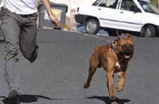 برخورد با سگ گردانی در دستور کار پلیس تهران قرار گرفت
