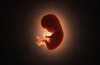 نرخ دیه جنین پسر دو برابر جنین دختر اعلام شد
