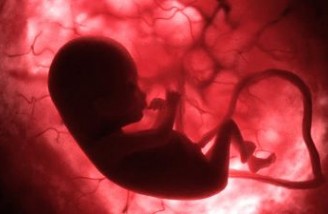 یک سوم از نوزادهای ایرانی سقط جنین می شوند