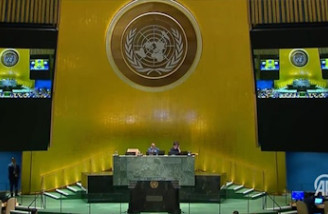 سازمان ملل فلسطین