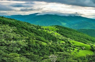 جنگل‌های زاگرس می‌تواند ۴۰ درصد از آب ایران را تامین کند