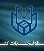 رأی دهندگان هیچ الزامی برای شرکت در هر دو انتخابات جاری را ندارند 