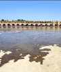 جریان آب ِ زاینده رود به محدودهٔ شهر اصفهان می رسد