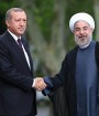 امارات: ظاهرا ایران بیش از کشورهای خلیج فارس برای ترکیه و پاکستان اهمیت دارد