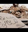 در یک ماه گذشته استان کرمانشاه 1285 بار لرزیده است