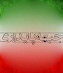 حمله تند عضو پایداری به اصولگرایان؛ همه ی آن ها ادعای انا رجلی دارند