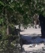 خدمات جنسی یک زن به عاملان حمله تروریستی تهران