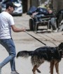 پلیس ایران با سگ گردانی برخورد می کند