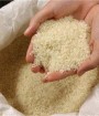  تنها ۵ درصد از ایرانی‌ها توان خرید برنج ایرانی را دارند
