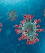 ۳.۴ درصد از مبتلایان به ویروس کرونا فوت می شوند