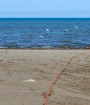 آب دریای خزر سالیانه ۲۰ سانتی‌متر کاهش می یابد