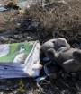 دادگاه متهمان سقوط هواپیمای اوکراین را علنی برگزار کنید