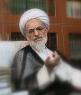 بیات زنجانی: باید با اعتراضات مدارا کرد
