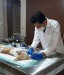 صدور مجوز کلینیک حیوانات در اصفهان متوقف شد