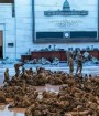 طرح استیضاح دونالد ترامپ تایید شد