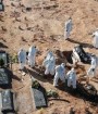 آمارجان باختگان کرونا در ایران به ۵۶ هزار و ۷۱۷ نفر رسید