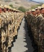  ۵۴ سرباز ایرانی به ویروس کرونا مبتلا شدند
