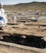 آمار جان باختگان کرونا از ۱۱۹ هزار نفر گذشت