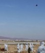 آمار جان باختگان کرونا از ۱۲۵ هزار نفر گذشت