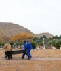 آمار جانباختگان کرونا از ۱۴۱ هزار نفر عبور کرد
