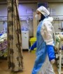 ۱۲۵۴ نفر از مبتلایان کرونا تحت مراقبت قرار دارند