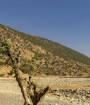 خشکسالی ایران شدیدتر شد 