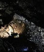 ریزش معدن در هجدک کرمان موجب مرگ چهار معدنچی شد