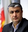 ایران دوربین های برجامی را جمع آوری کرد