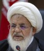 کم شدن جمعیت شیعه به معنای کم شدن سربازان امام زمان است