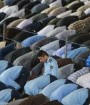 نماز جمعه همچنان در مراکز استان های ایران اقامه نخواهد شد 