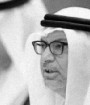 امارات، رفتار ایران را دلیل اصلی مشکلات خاور میانه خواند