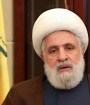 سلاح خود را نمی دهیم