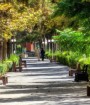 برخی پارک های تهران زنانه و مردانه می شوند
