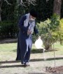کاشت درخت یک حرکت کاملاً دینی و انقلابی است