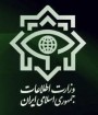 ایران از شناسایی و انهدام یک شبکه اخلال‌گر بازار ارز خبر داد