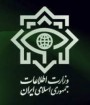 اعضای چند شبکه قاچاق واکسن کرونا در ایران دستگیر شدند