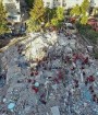 شمار قربانیان زلزله ازمیر به 109 نفر رسید